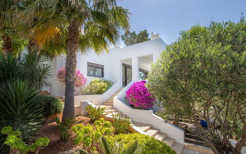 Villa Ilona: Arbusto, Giardino, Landscaping, Estate, Villa, Ricorrere, Hacienda, Cortile, Dimora