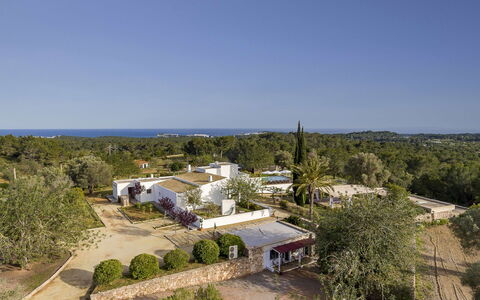 Villa Papiro: Albero, Zona Residenziale, Paesaggio, Casa, Estate, Lotto, Landscaping, Sobborgo, Hacienda, Fotografia Aerea