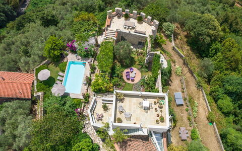 La Rocca di Monteggiori: Vegetazione, Paesaggio, Arbusto, Comunita 'Impianto, Area Rurale, Giardino, Groundcover, Visione Globale, Estate, Landscaping