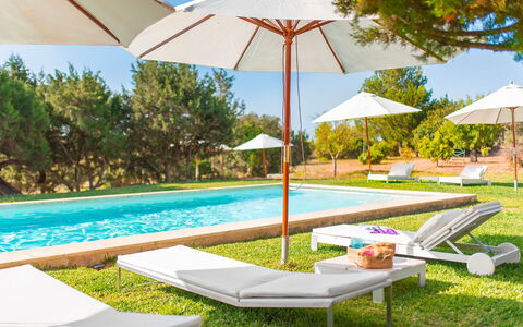 Villa Bouquet: Giardino, Mobili Da Esterno, Shade, Lettino, Ombrello, Prato, Piscina, Landscaping, Ricorrere, Eco Hotel