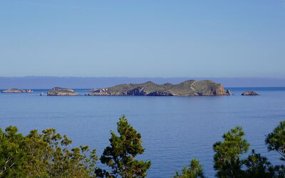 West Coast