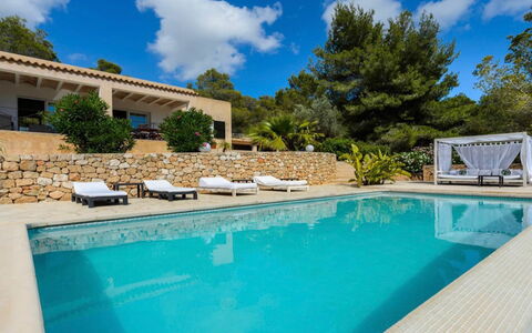 Villa Curiosity: Blu, Piscina, Ricorrere, Mobili Da Esterno, Tropici, Eco Hotel, Lettino, Shade, Terme, Hotel