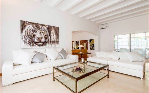 Villa Besso: Mobilia, Interior Design, Divano, Pavimentazione, Pavimento, Parete, Legna, Soggiorno, Casa, Camera