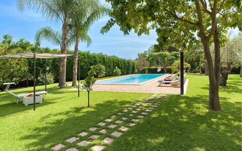 Villa Carosone: Piscina, Giardino, Shade, Lotto, Ricorrere, Prato, Eco Hotel, Landscaping, Backyard