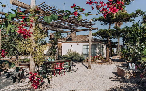 Villa Horses: Vaso Di Fiori, Giardino, Shade, Landscaping, Cortile, Pergola, Struttura Esterna, Backyard, Pianta Della Casa