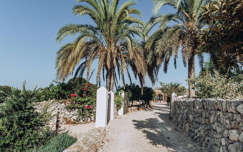 Villa Horses: Cielo, Vegetazione, Arbusto, Woody Impianto, Landscaping, Tropici
