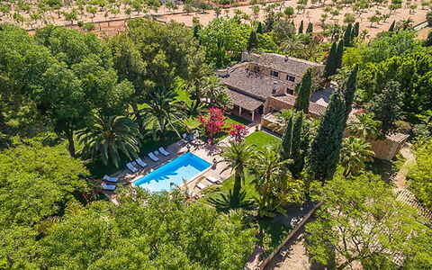 Villa Peacock: Piscina, Ricorrere, Hacienda, Eco Hotel, Giardino, Estate, Landscaping, Villa, Hotel