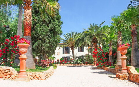 Villa Peacock: Albero, Hacienda, Giardino, Shade, Landscaping, Ricorrere, Eco Hotel