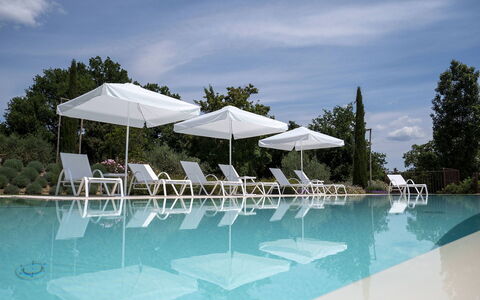 Villa Ripa: Piscina, Mobili Da Esterno, Mobilia, Ricorrere, Lettino, Sedia, Eco Hotel, Shade, Ombrello, Resort Citta '