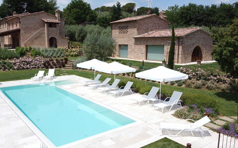 Villa Ripa: Piscina, Mobili Da Esterno, Ricorrere, Giardino, Estate, Landscaping, Lettino, Prato, Backyard, Hacienda