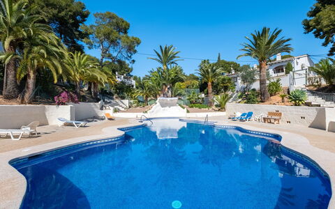 Lisa: Albero, Ricorrere, Tropici, Mobili Da Esterno, Shade, Resort Citta ', Piscina, Landscaping, Eco Hotel