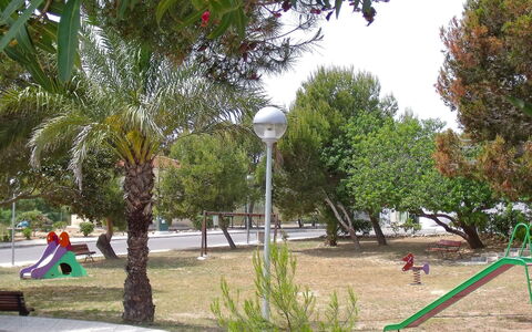Happy Day: Albero, Spazio Pubblico, Tempo Libero, Botanica, Parco, Vacanza, Divertimento, Terreno Di Gioco, Erba, Adattamento