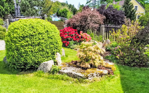 U Kohouta: Verde, Fiore, Foglia, Giardino, Arbusto, Comunita 'Impianto, Groundcover, Prato, Woody Impianto