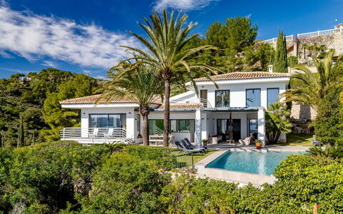 Casa Guapa: Shade, Portico, Balcone, Recinzione, Corrimano, Struttura Esterna