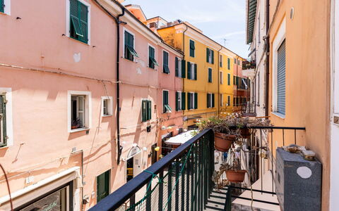Milena: Quartiere, Appartamento, Balcone, Ferro, Dipingere, Pianta Della Casa, Vaso Di Fiori