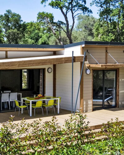 Lodge Premium 6P 600.5