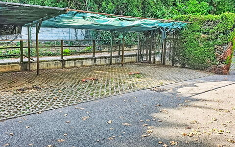 I Vigneti del Garda: Appartamento, Ricorrere, Balcone, Hotel, Piscina, Resort Citta ', Spiaggia