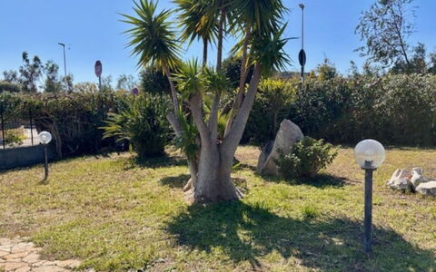 Villetta del Mirto: Arbusto, Giardino, Woody Impianto, Landscaping, Shade, Cortile, Passerella, Giardino Botanico