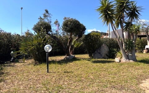 Villetta del Mirto: Foglia, Arbusto, Giardino, Woody Impianto, Shade, Landscaping, Prato, Driveway