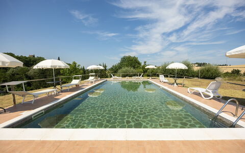 Il Giuncheto, Pool, Amazing View, Umbrian Countrys: Piscina, Landscaping, Mobili Da Esterno, Piantagione