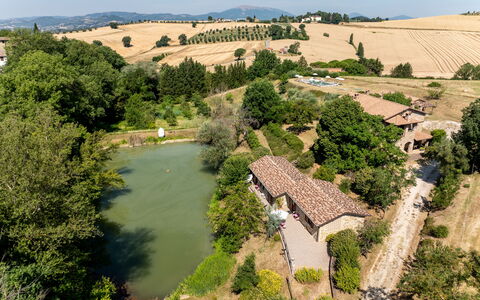 Il Giuncheto Apartments, Pool, Umbrian Countryside: Albero, Casa, Area Rurale, Paesaggio, Casa, Lotto, Insediamento Umano, Villetta, Estate