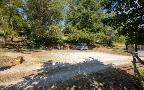 Il Giuncheto Apartments, Pool, Umbrian Countryside: Albero, Trail, Suolo, Car Famiglia, Parcheggio, Driveway, Shade