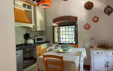 Borgo Antico, Pool, Barberino del Mugello: Mobilia, Interior Design, Cucina, Legna, Elettrodomestico Da Cucina, Pavimentazione, Soffitto, Controsoffitto, Camera, Lampada