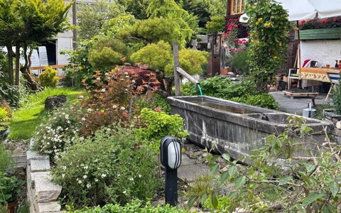 Gartenstudio Belle Vue: Verde, Arbusto, Giardino, Groundcover, Primavera, Giardino Botanico, Landscaping, Cortile, Passerella