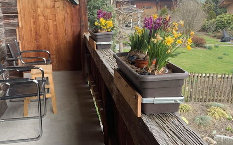 Gartenstudio Belle Vue: Legna, Latifoglie, Color Legno, Balcone, Plank, Vaso Di Fiori, Pianta Della Casa, Struttura Esterna, Mobili Da Esterno, Legname