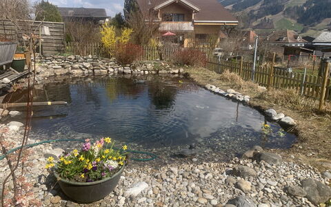 Gartenstudio Belle Vue: Acqua, Roccia, Stagno, Giardino, Backyard, Landscaping, Riflessione, Giochi D'Acqua, Stagno Dei Pesci, Cortile