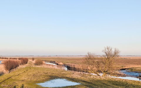 Wischhafen 648: Cielo, Ambiente Naturale, Paesaggio Naturale, Palude, Ecoregione, Plain, Pascolo