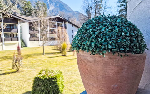 Grubhof: Groundcover, Giardino