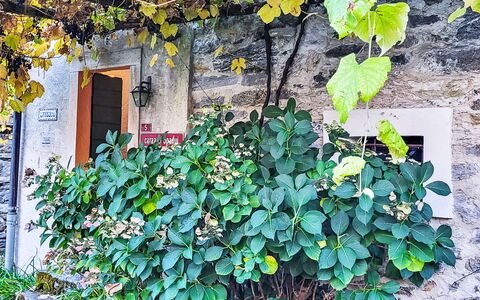 Casa Sambuco: Catena Montuosa, Valle, Alpi, Cresta, Vertice, Quartier Generale