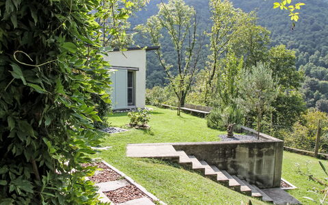 Uggine 66: Giardino, Shade, Prato, Landscaping, Cortile, Parco