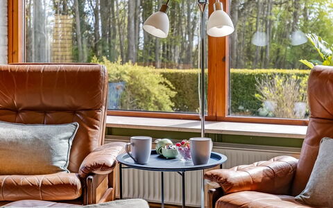 Wildemor - 30Km from the Sea: Mobilia, Legna, Interior Design, Pavimentazione, Pavimento, Sedia, Camera, Soffitto, Soggiorno, Appartamento