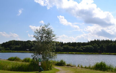 Biergh - 30Km from the Sea: Acqua, Risorse Idriche, Corpo D'Acqua, Verde, Alveo, Banca, Waterway, Lago