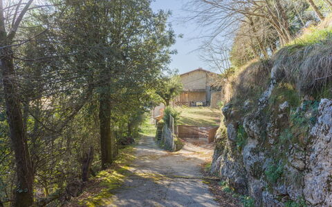 Casa dei Nonni: Mare, Costiera E Morfologie Oceanic, Oceano, Costa, Spiaggia, Riva, Balcone, Tropici, Baia