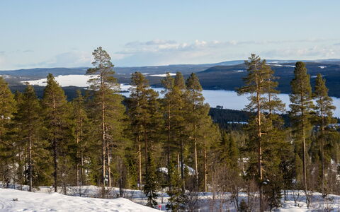 Svanhågna Gård: Legna, Villetta, Casa, Casa, Tetto, Raccordo, Inverno, Neve, Congelamento, Pendenza