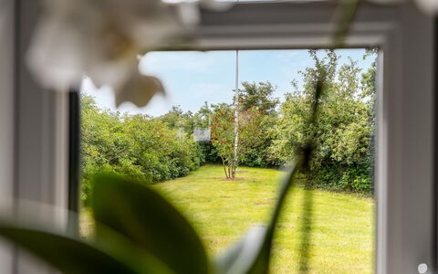 Nette - 15Km from the Sea: Foglia, Vegetazione, Lotto, Primavera, Luce Del Sole, Woody Impianto, Giardino, Bicchiere, Prato