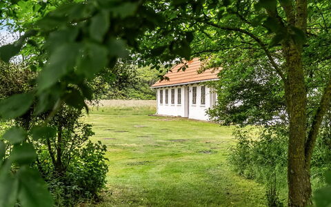 Nette - 15Km from the Sea: Albero, Erba, Foglia, Arbusto, Area Rurale, Lotto, Plain, Casa, Villetta, Prato