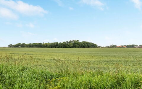 Nette - 15Km from the Sea: Cielo, Blu, Verde, Giorno, Erba, Ambiente Naturale, Pascolo, Campo, Plain, Paesaggio Naturale