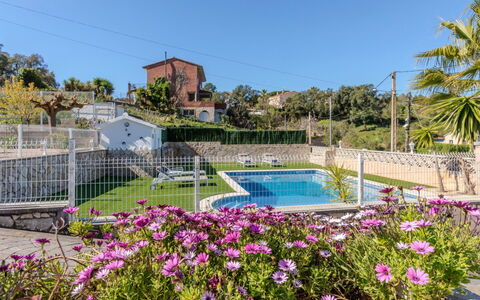 Abie: Giardino, Recinzione, Landscaping, Estate, Shade, Cortile, Piscina, Hacienda, Backyard, Home Scherma