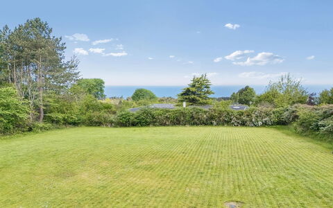 Heike - 650M from the Sea: Verde, Arbusto, Pascolo, Groundcover, Giardino, Prato, Prato, Pascolo, Landscaping, Parco