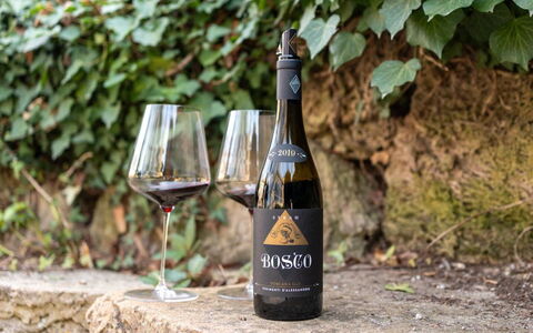 Loft Borgo Syrah: Bottiglia, Bottiglia Di Vetro, Bottiglia Di Vino, Vino, Barware