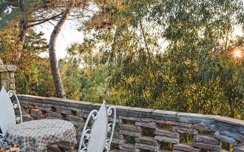 Rosignano Marittimo 13: Sedia, Mobili Da Esterno, Giardino, Shade, Flagstone, Landscaping, Tavolo Esterno, Muro ​​Di Pietra, Backyard, Recinzione