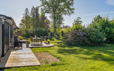 Stefana - from the Sea: Albero, Erba, Verde, Vegetazione, Arbusto, Giardino, Paesaggio, Lotto, Area Rurale