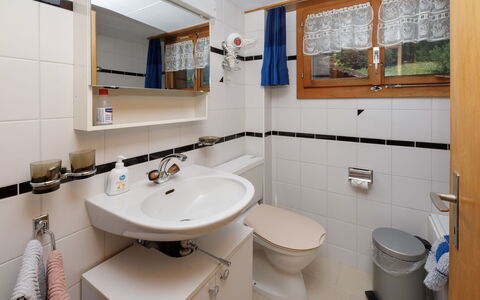 Haus Margrittli: Idraulico Fixture, Bagno, Lavandino Del Bagno, Lavello, Interior Design, Rubinetto, Idraulico, Pavimentazione, Controsoffitto, Mobiletto Del Bagno