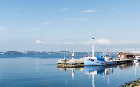 Delan - 650M from the Sea: Albero, Banca, Villetta, Area Rurale, Lago, Riflessione, Serbatoio, Stagno