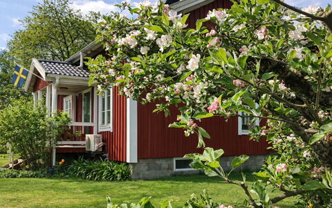 Heagård: Ricorrere, Piscina, Hotel, Resort Citta ', Località Balneare, Hacienda, Terme, Tropici, Villa