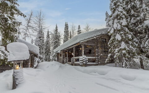 Mäkikelo: Neve, Inverno, Ramo, Legna, Villetta, Congelamento, Casa, Larice